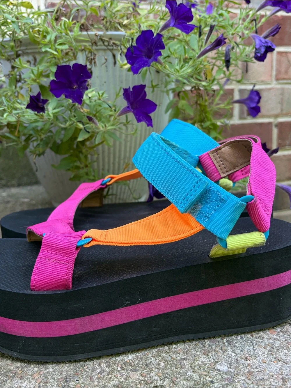 wild fable Multicolor Strap Sandals in Pink, Orange & Blue